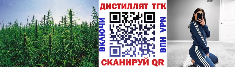 Дистиллят ТГК Wax  закладки  Сосновка 