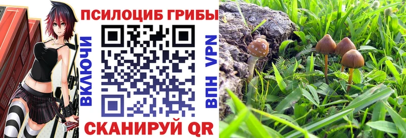 Псилоцибиновые грибы мицелий  где купить наркоту  Сосновка 